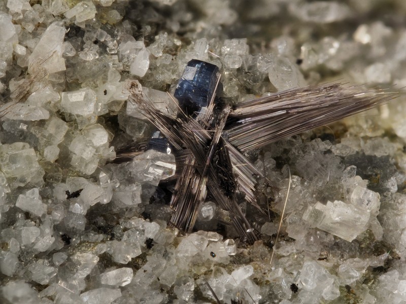 champ 2mm Anatase rutile albite col du tourmalet Bareges hautes pyrénées ch2mm.jpg