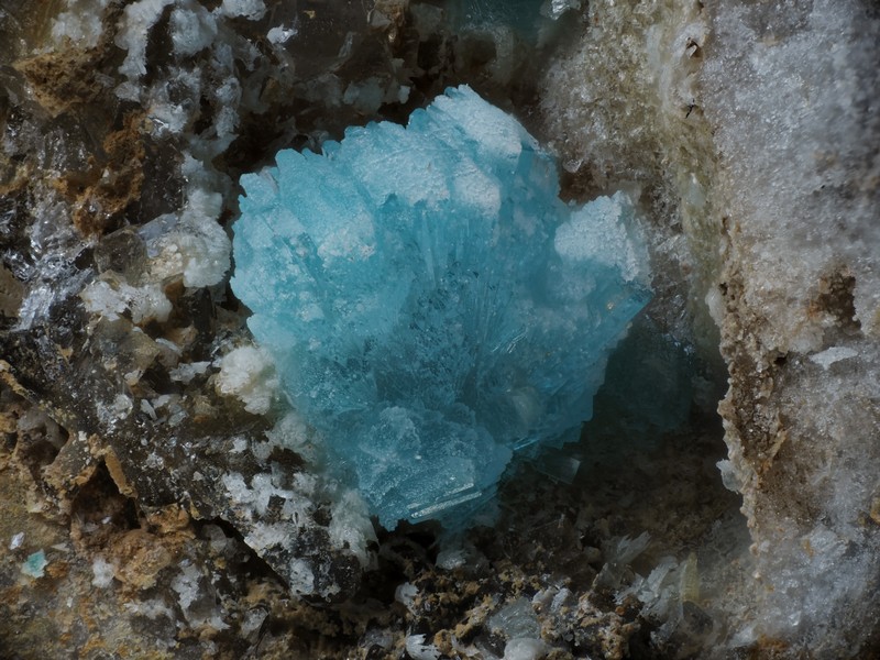 hemimorphite tistoulet Padern Aude ch3.4mm.jpg