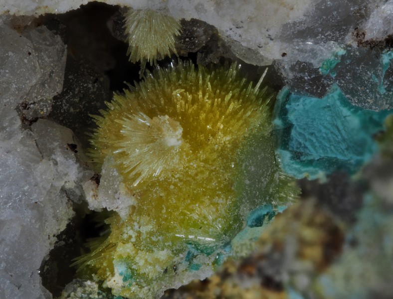 Mimetite - Le Tistoulet - Padern - Aude
