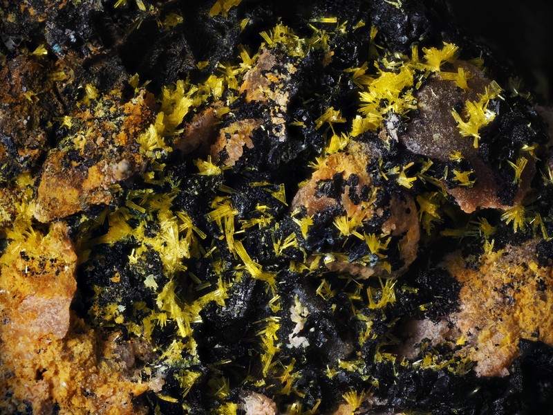 Dewindite Fluorite - Le Charbonnier - Frejus - Var 