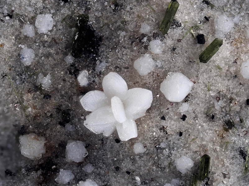 Cristobalite Pyroxène - Ravin des Chomets - Mont-Dore - Puy de Dôme champ 2,2.jpg