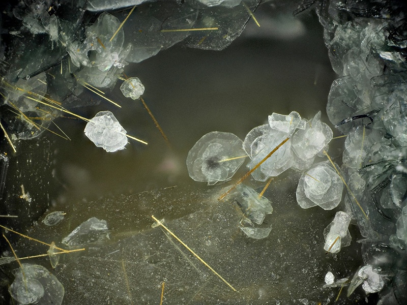 Clinochlore Rutile - Mont Cenis - Lanslebourg - Savoie champ1,7.jpg