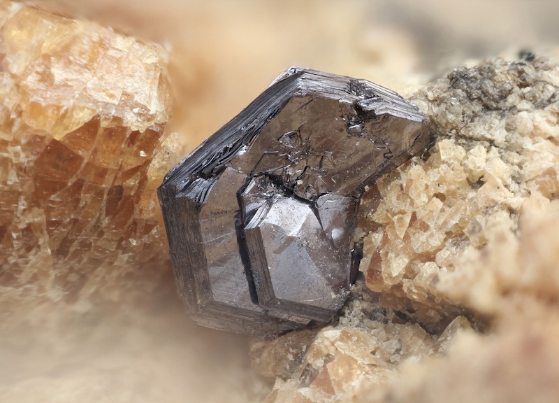 Molybdenite_Costabonne_Prats-de-Mollo-la-Preste_Pyrénées-Orientales_MB_champ4mm5.jpg