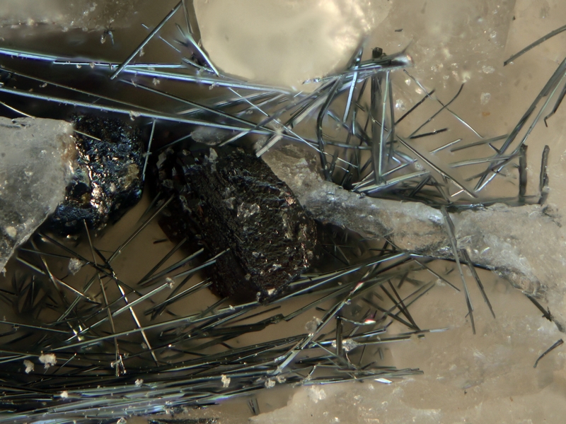 champ 2 mm Stibnite Sphalerite - Bessade Mine - Mercoeur - Haute Loire - YM - Champ 2 mm.jpg