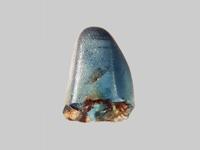 Saphir - Ruisseau de Cizières - Saint-Eble - Haute-Loire - FP - Taille 6 mm - Saphir - Ruisseau de Cizières - Saint-Eble - Haute-Loire - FP - Taille 6 mm.jpg Saphir - Ruisseau de Cizières - Saint-Eble - Haute-Loire - FP - Taille 6 mm.jpg