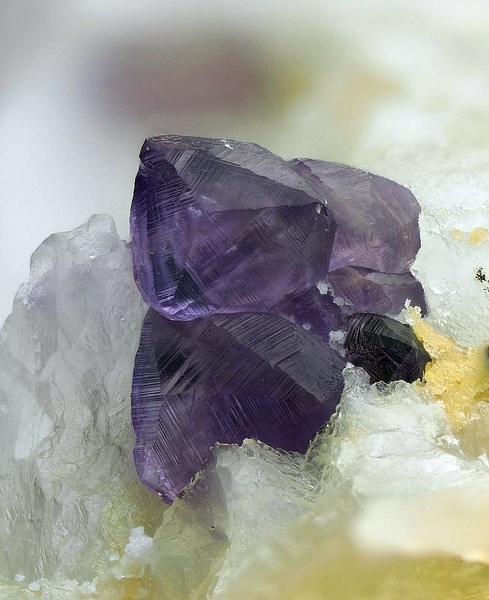 champ 3mm Fluorite-Creuzeval-St Didier sur Beaujeu-Rhône-AM-champ 3 mmxx.jpg