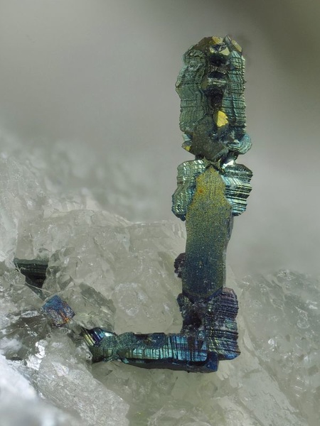 champ 3.2 mm Marcasite-Carrière Buffin-Ampuis-Rhône-AM-champ 3.2 mm.jpg