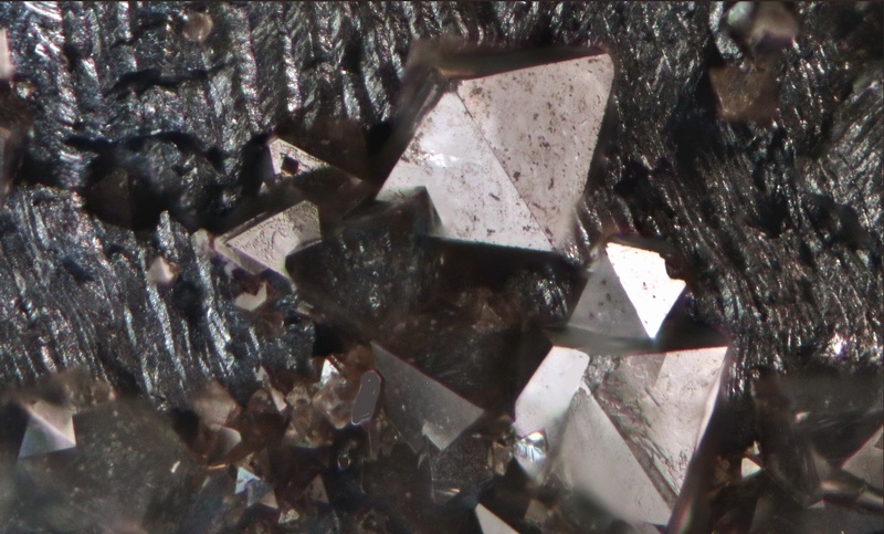 champ 1mm Senarmontite-Bessade Mine-Mercoeur-Haute-Loire-YM-Champ 1 mm.jpg