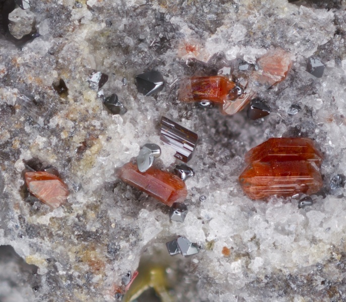 champ 2mm Forsterite.jpg