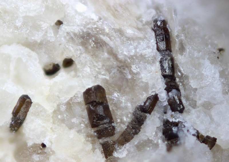 158027-Schorl Chp2,8mm-JLD.jpg