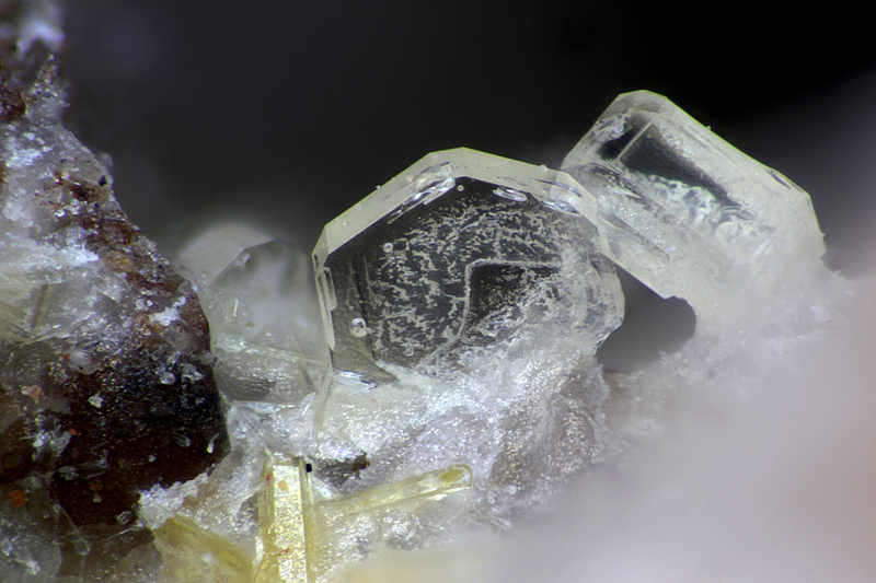 champ 0,89mm Roedderite - Mont Denise - Espaly-Saint-Marcel - Le Puy-en -Velay - Haute -Loire - SL - Champ 0,89mm.jpg