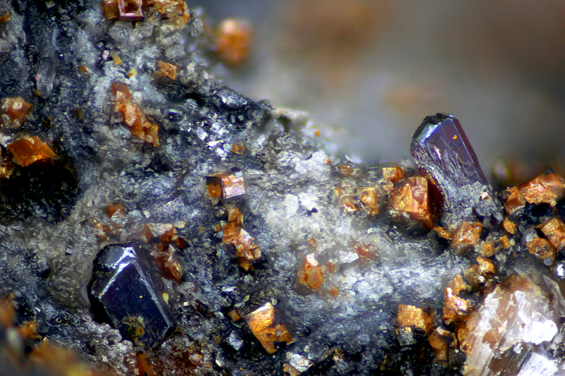 champ 0,85mm Pyrargyrite -Ankerite - Fournial Mine - Molèdes - Saint-Flour - Cantal - SL - Champ 0,85mm.jpg
