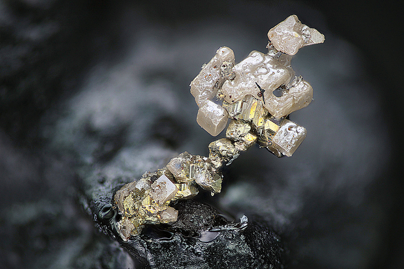 champ 2mm Argent - Chlorargyrite - Poullaba vein - Locmaria-Berrien - Poullaouen - Châteaulin - Finistère - SL - Champ 2mm.jpg