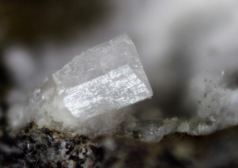 197050-Epistilbite Chp2,6mm-JLD.jpg