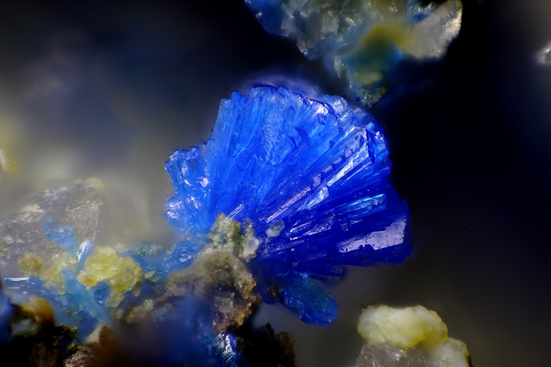 183144 Linarite, Vallaury 83 Fr, Don M. Coz, Coll. AFM, Phot. P Clolus, Fov 0,6mm.jpg
