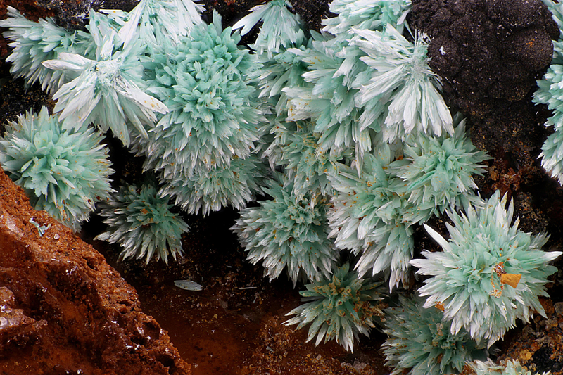 Malachite - Le Moulinal (mine) - Rayssac - Castres - Tarn 