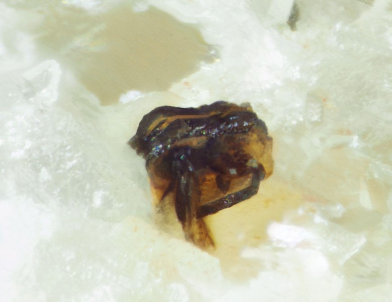 AFM 142218 Thorbastnaésite St Julien Molin Molette Champ 0,4 mm JPB.jpg