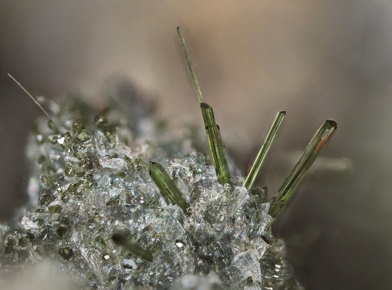 diopside  ch2mm.jpg