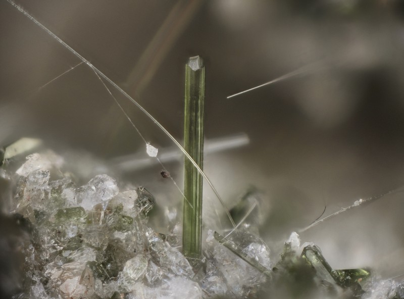 diopside ch2.75mm.jpg