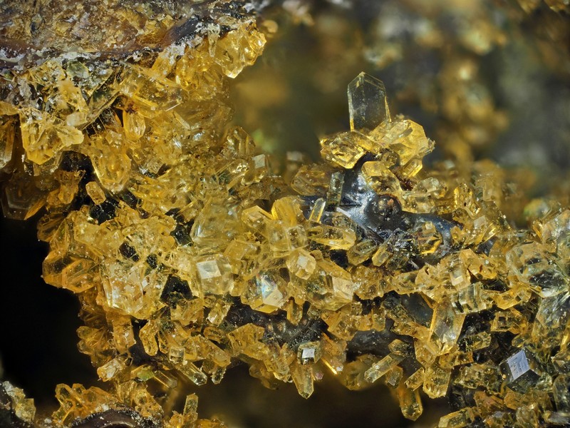 phillipsite ch2.8mm.jpg
