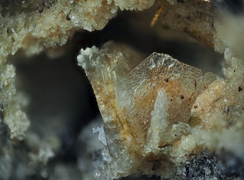 champ 2,8mm tridymite ch2,8mm.jpg