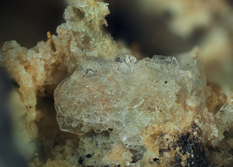 champ 2,75mm tridymite ch2,75mm.jpg