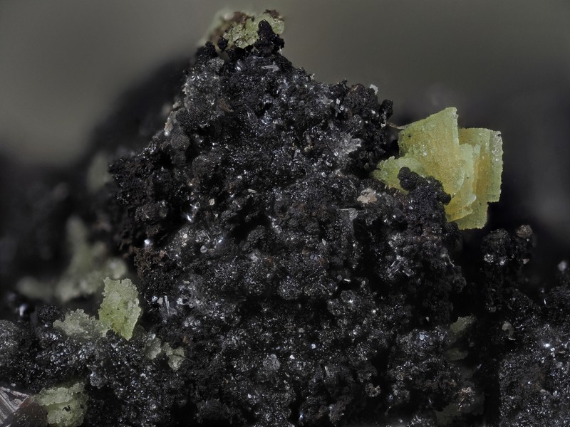 champ 2,3mm autunite pyrite ch2,3mm.jpg