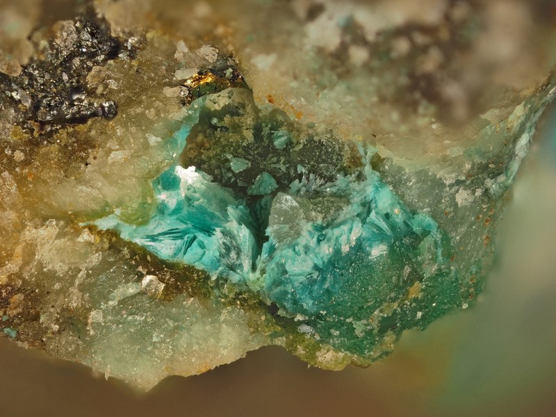 champ 2,4mm richelsdorfite adamite ch2,4mm.jpg