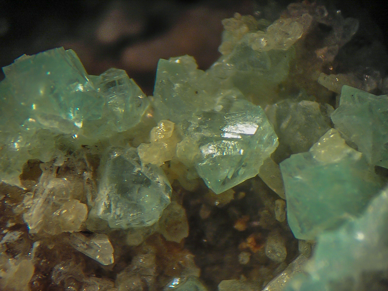Adamite Can Pei Montferrer Pyrénées Orientales CB Champ 4 mm.jpg
