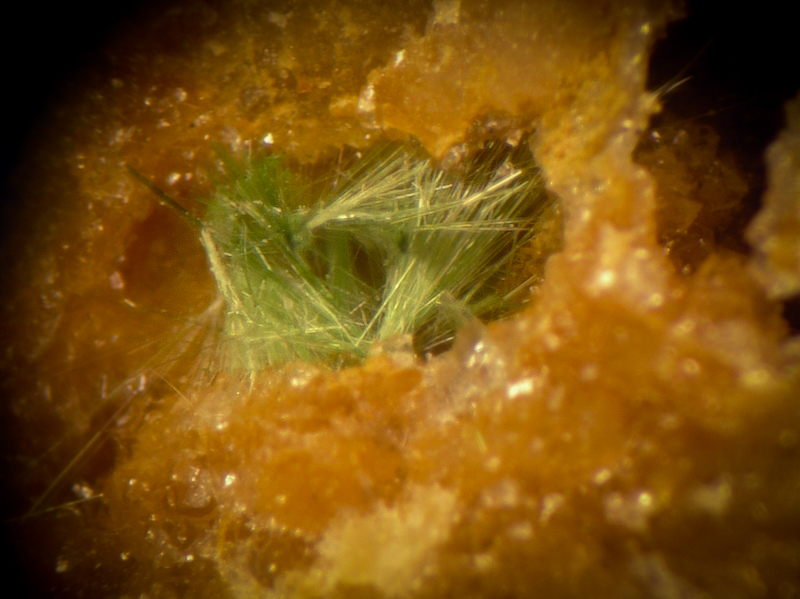 champ 3mm Zalesiite Can Pei Montferrer Pyrénées Orientales CB Champ 3 mm.jpg