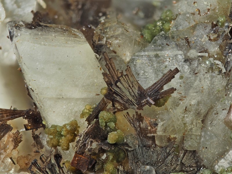 champ 2mm allanite-Ce clinochlore anatase oligoclase ch2.jpg