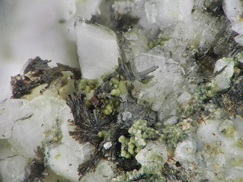 champ 3mm allanite-Ce clinochlore anatase oligoclase ch3.jpg