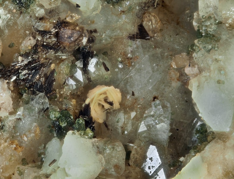 champ 2,4mm monazite-Ce allanite-Ce clinochlore oligoclase ch2.4.jpg