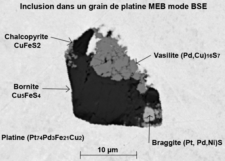 MEB BSE signifie Microscope Electronique à Balayage en mode électrons rétrodiffusés (BSE) : plus le minéral est clair, plus la densité du minéral est élevé. La chalcopyrite est noire, la bornite gris-noir, la braggite plus claire que la vasilite Platine Braggite Vasilite Bornite Chalcopyrite - Lescheroux - Ain - BD - champ 0,04mm - MEB BSE légende.jpg