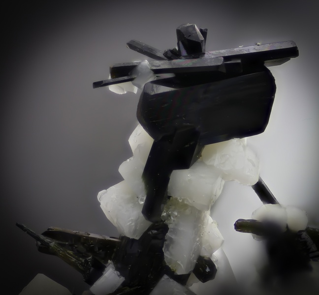 b5mm.jpg