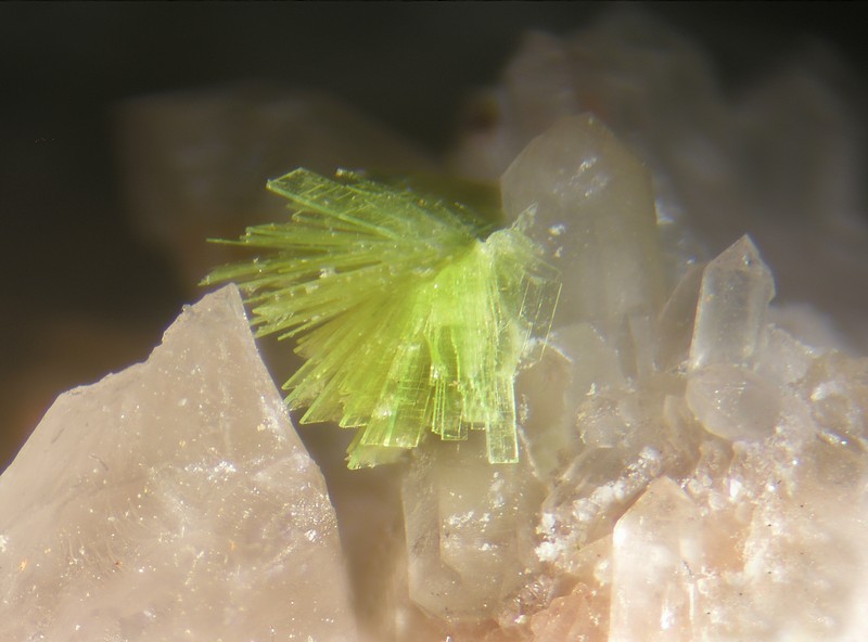 Autunite - Montebras (Carrière) - Soumans - Creuse