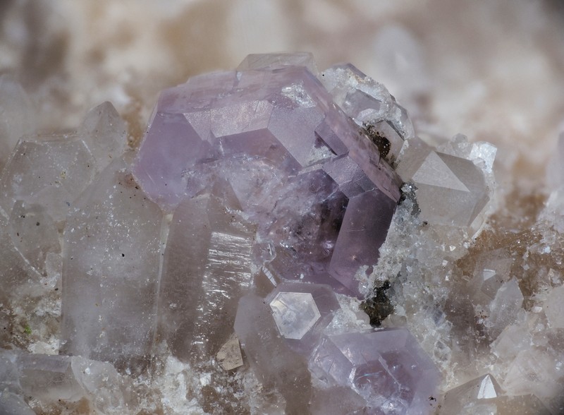 champ 3,7mm fluorapatite ch 3.7mm.jpg