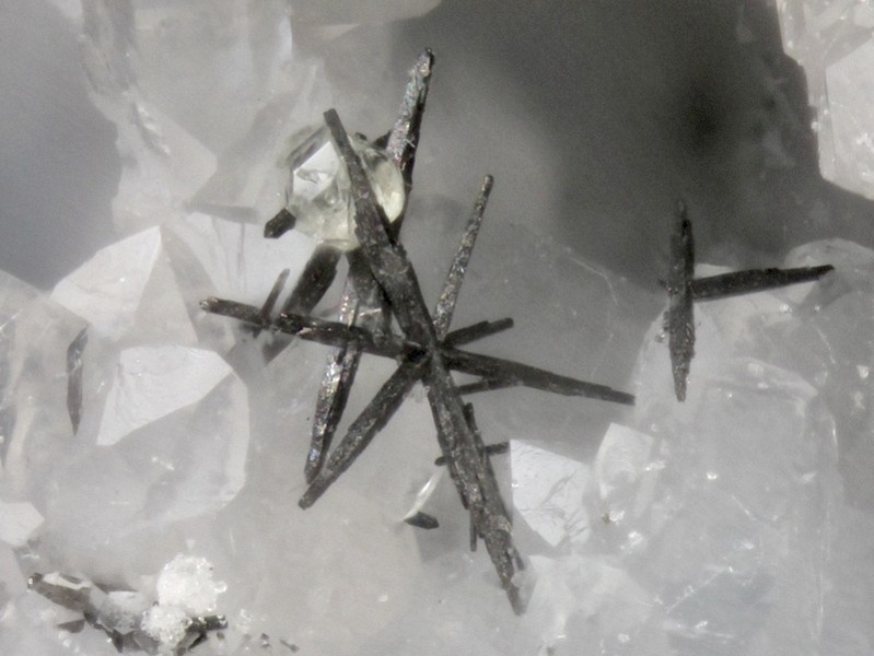 champ 1,1mm Arsenopyrite-Soufre_LaForge_AnzatLeLuguet_PuyDeDome_MBchamp1mm10.jpg