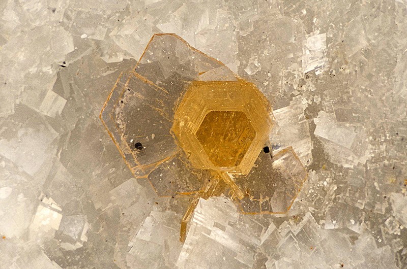 N°13720 Synchysite-Bastnasite Trimouns Luzenac Ariège France - Champ 5mm  Copyright Photo & Collection Pascale et Daniel Journet.jpg