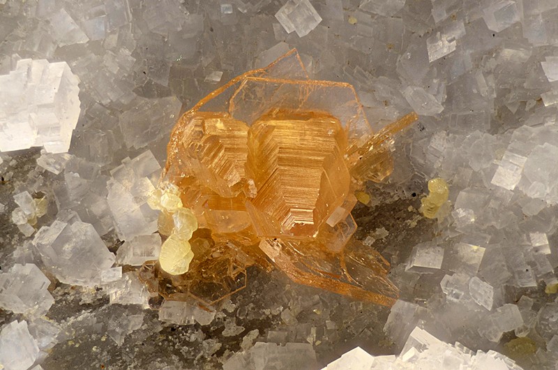 champ 10mm N°14357 Parisite-Synchysite - Bastnasite - Clinochlore - Dolomie Trimouns Luzenac Ariège France - Champ 10mm Copyright Photo & Collection Pascale et Daniel Journet.jpg