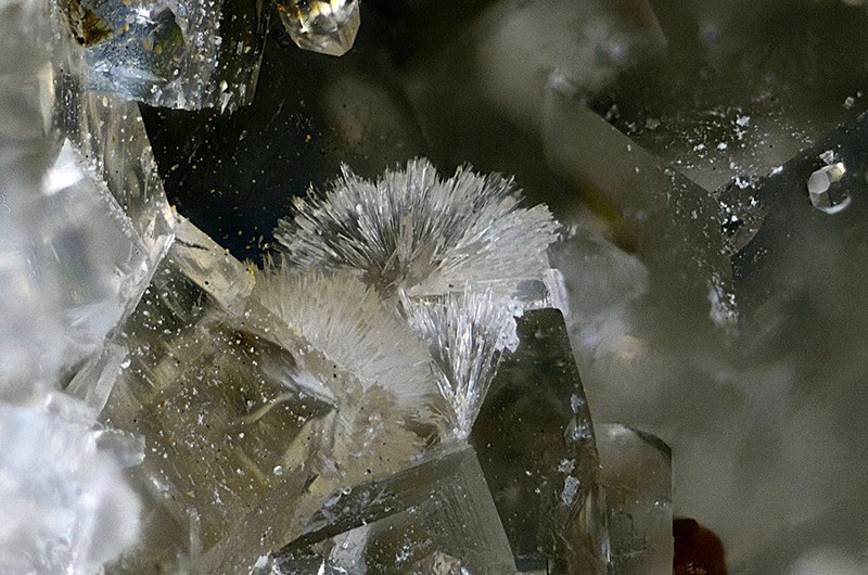 champ 6mm N°11206 Aragonite-Fluorite Birrity Quarry Arbouet-Sussaute Pyrénées-Atlantiques France - Champ 6mm Copyright Photo & Collection Pascale et Daniel Journet.jpg