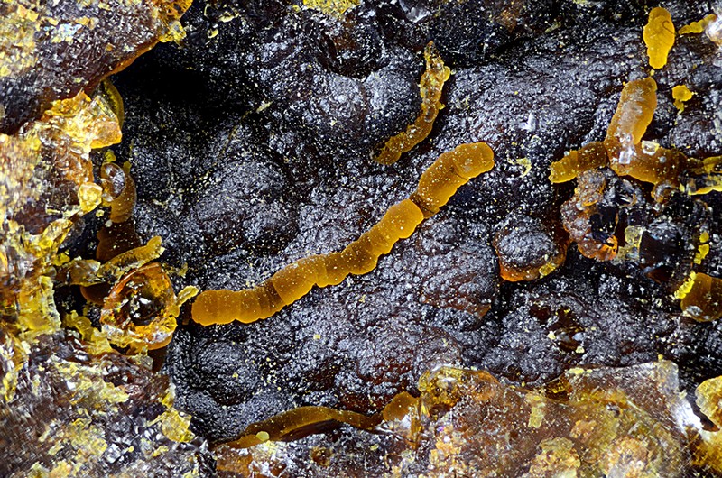 champ 3mm N°13236 Cacoxenite Birrity Quarry Arbouet-Sussaute Pyrénées-Atlantiques France - Champ 3mm Copyright Photo & Collection Pascale et Daniel Journet.jpg