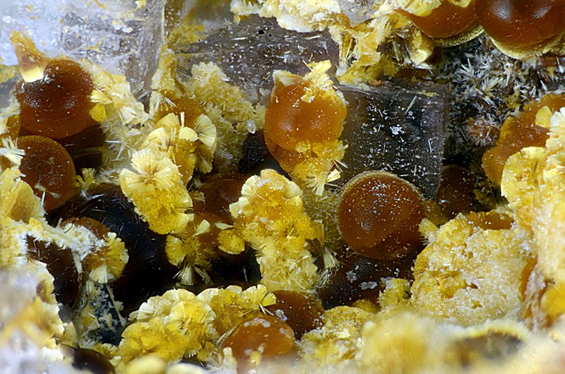 champ 2mm N°13303 Cacoxenite-Fluorite Birrity Quarry Arbouet-Sussaute Pyrénées-Atlantiques France - Champ 2mm Copyright Photo & Collection Pascale et Daniel Journet.jpg