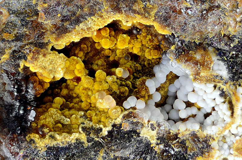 champ 7mm N°13355 Cacoxenite-Strengite Birrity Quarry Arbouet-Sussaute Pyrénées-Atlantiques France - Champ 7mm Copyright Photo & Collection Pascale et Daniel Journet.jpg