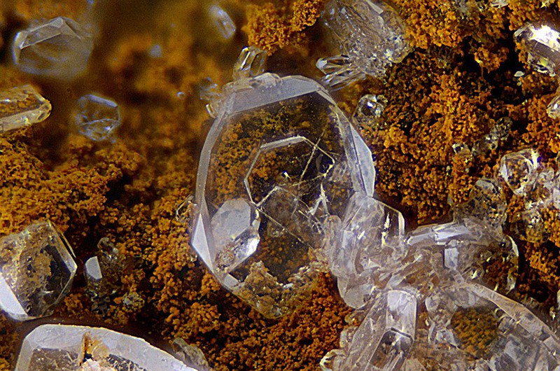 champ 4mm N°13358 Barite Birrity Quarry Arbouet-Sussaute Pyrénées-Atlantiques France - Champ 4mm Copyright Photo & Collection Pascale et Daniel Journet.jpg