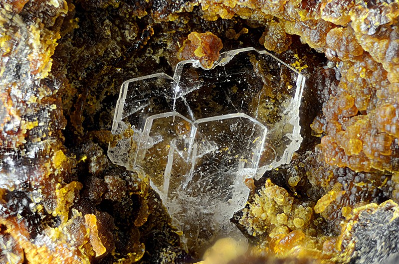 champ 4mm N°13519 Barite-Cacoxenite Birrity Quarry Arbouet-Sussaute Pyrénées-Atlantiques France - Champ 4mm Copyright Photo & Collection Pascale et Daniel Journet.jpg