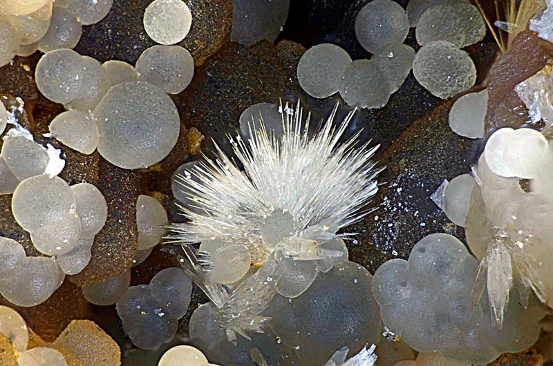 champ 1,5mm N°11302 Scholzite-Smithsonite Birrity Quarry Arbouet-Sussaute Pyrénées-Atlantiques France - Champ 1.5mm Copyright Photo & Collection Pascale et Daniel Journet.jpg