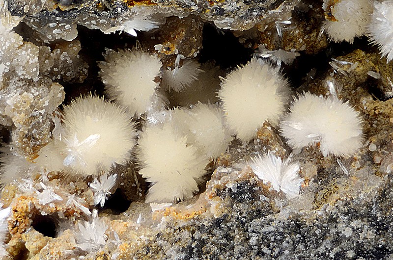 champ 6mm N°13712 Scholzite-Smithsonite Birrity Quarry Arbouet-Sussaute Pyrénées-Atlantiques France - Champ 6mm Copyright Photo & Collection Pascale et Daniel Journet.jpg