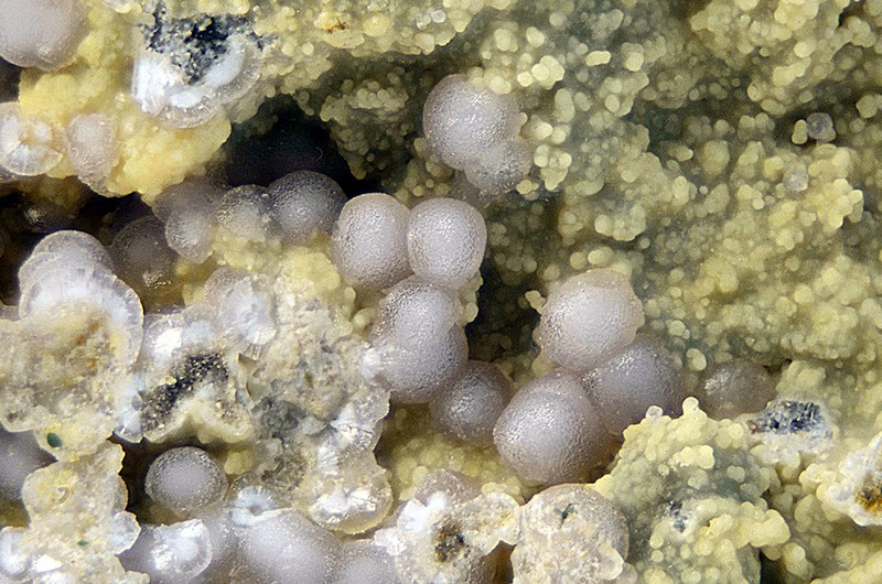 N°13365 Strengite-Wavellite Birrity Quarry Arbouet-Sussaute Pyrénées-Atlantiques France - Champ 4mm  Copyright Photo & Collection Pascale et Daniel Journet.jpg