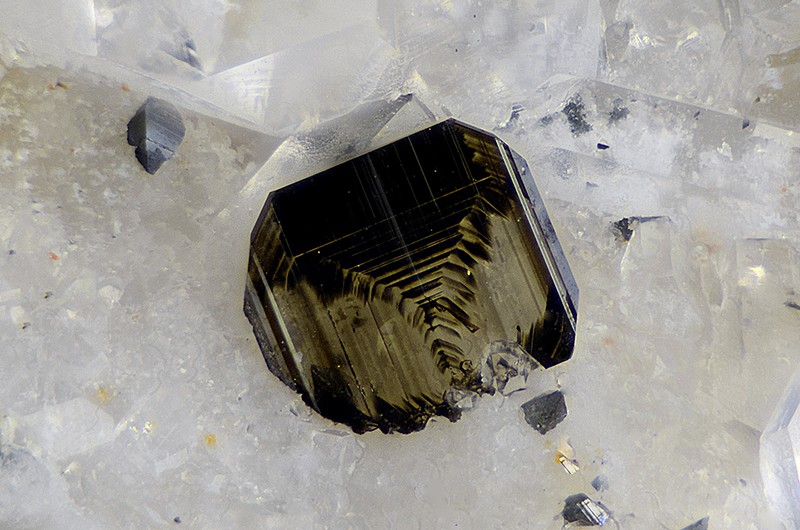 N°7762 Brookite-Anatase Forêt de Sapey Jarrier Vallée de la Maurienne Savoie France - Champ 3mm  Copyright Photo & Collection Pascale et Daniel Journet.jpg